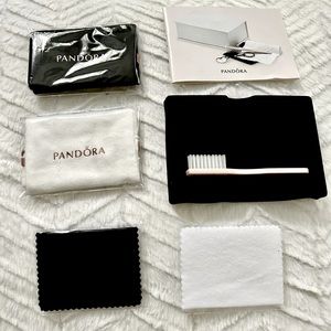 Pandora - cleaning brush, box, & two pouches.